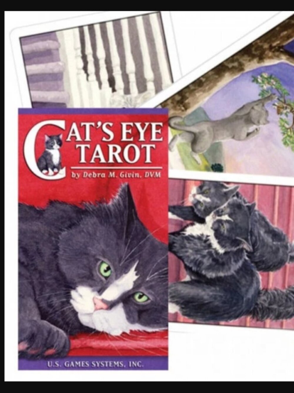 Cat’s Eye Tarot — Classic Rider-Waite Style Tarot Deck with Cats | US Games